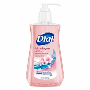 Dial Himalayan Pink Salt Hand Soap – 7.5oz